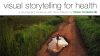 Visual storytelling for health